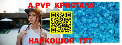 спиды Кингисепп