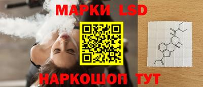 стаф Кинель