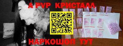 спиды Кингисепп