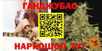спиды Кингисепп