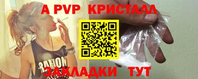 стаф Кинель