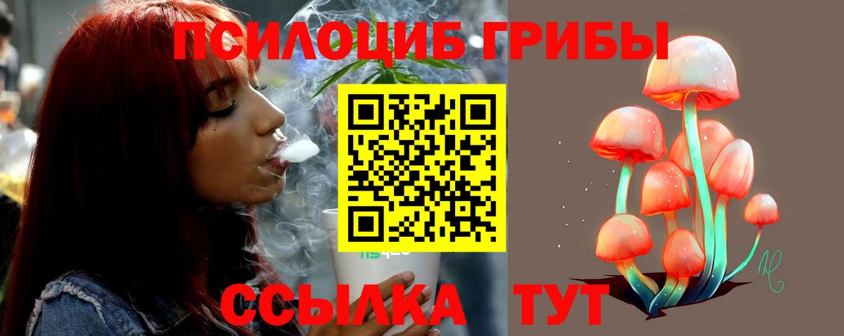 Псилоцибиновые грибы Cubensis  купить наркоту  Вход с VPN  Красноуфимск  Псилоцибиновые грибы прущие грибы 